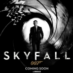 skyfall teaser poster