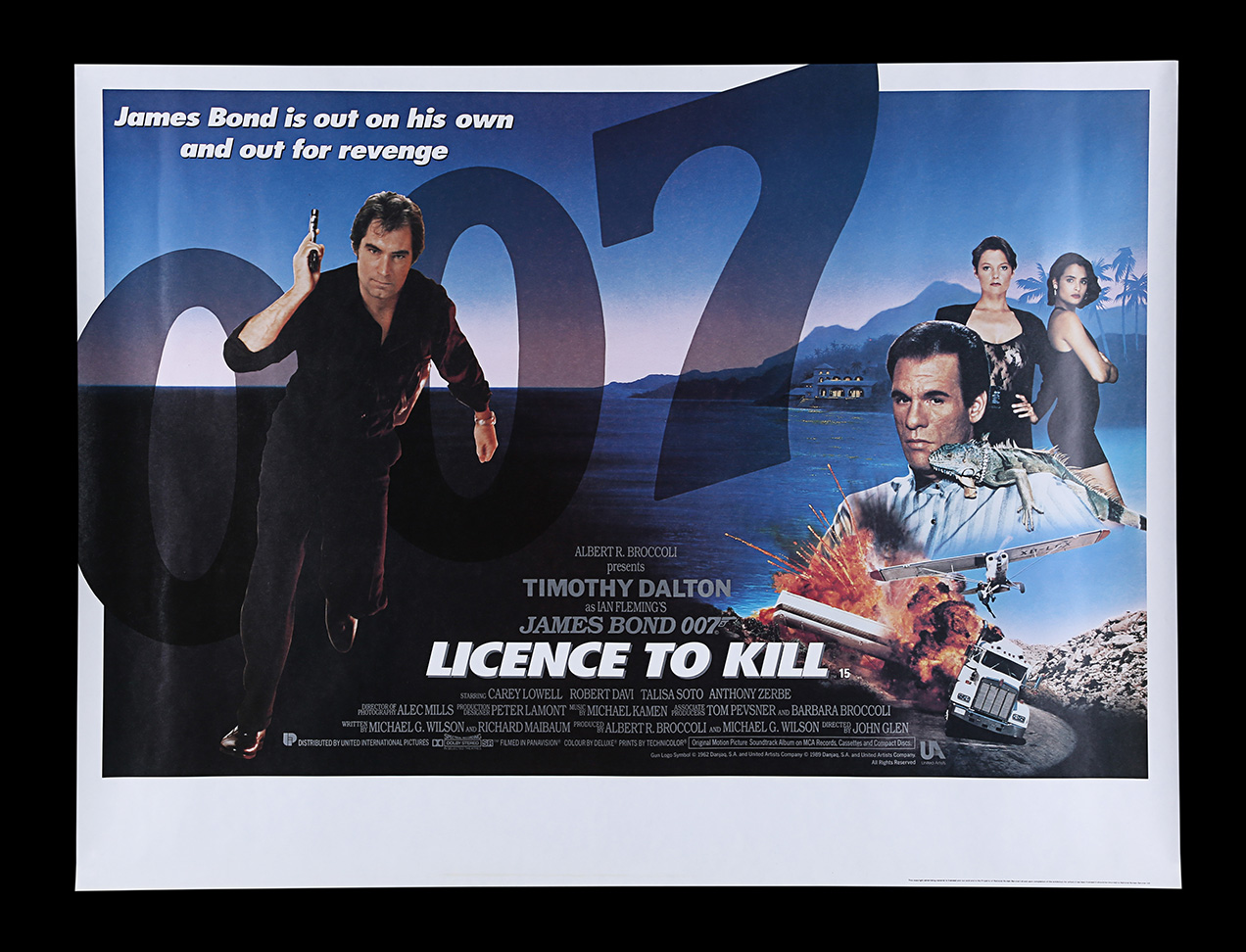 Licence to kill poster win