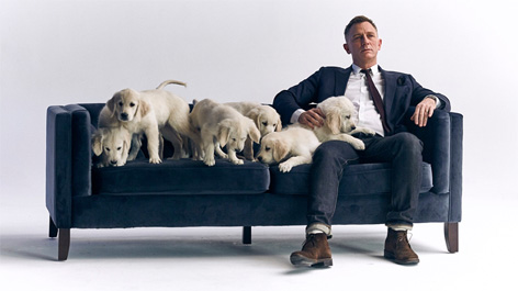 Daniel Craig UNMAS Omaze