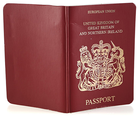 Passport James Bond Pierce Brosnan auction prop store cover uk