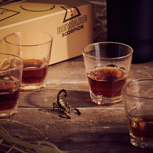 James Bond SkyFall Scorpion Drinking Game